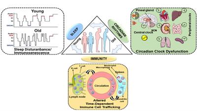 COVID-19: Sleep, Circadian Rhythms and Immunity – Repurposing Drugs and Chronotherapeutics for SARS-CoV-2